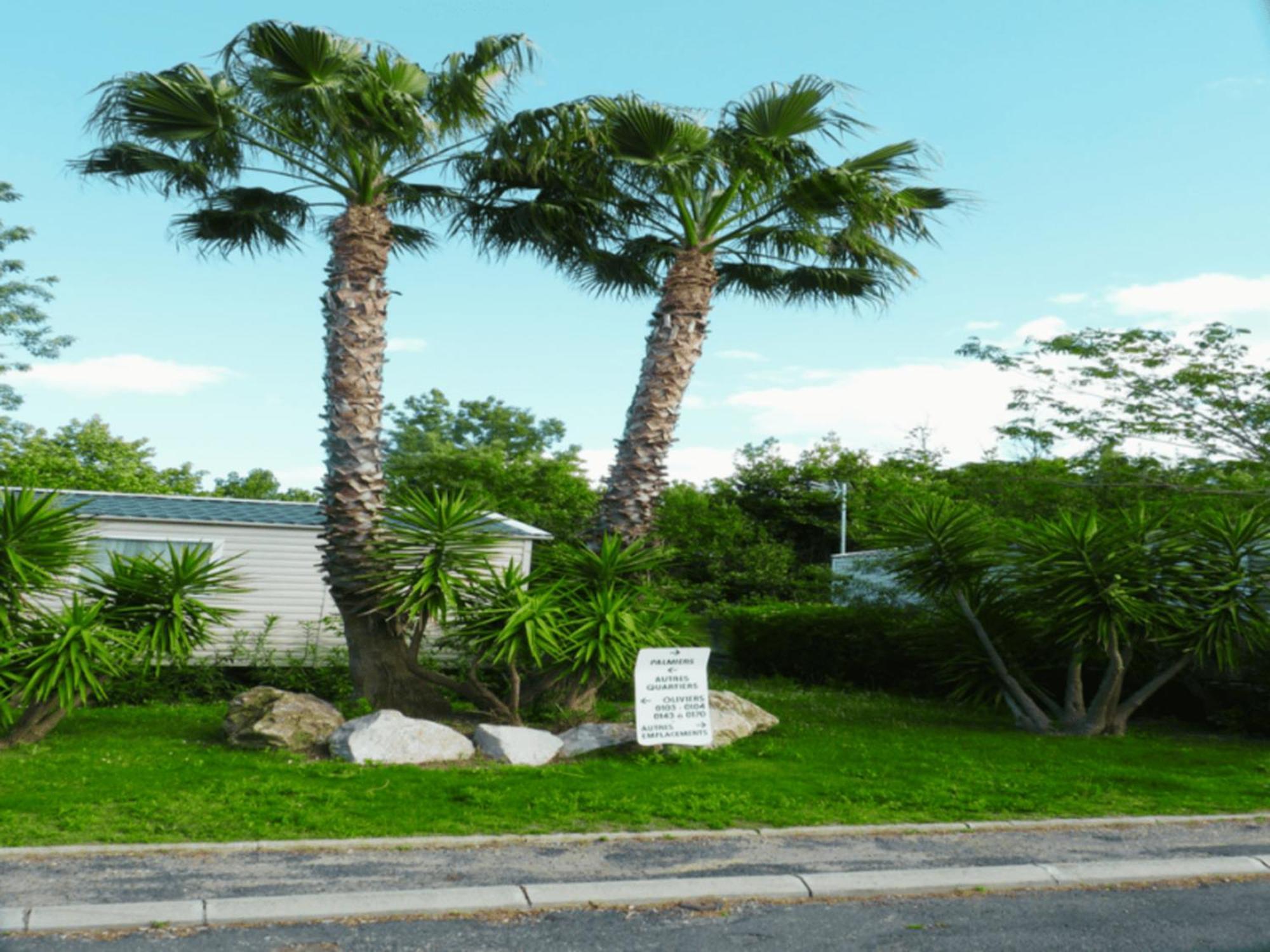 Mobil Home Confort Premium Valras-Plage Exterior photo